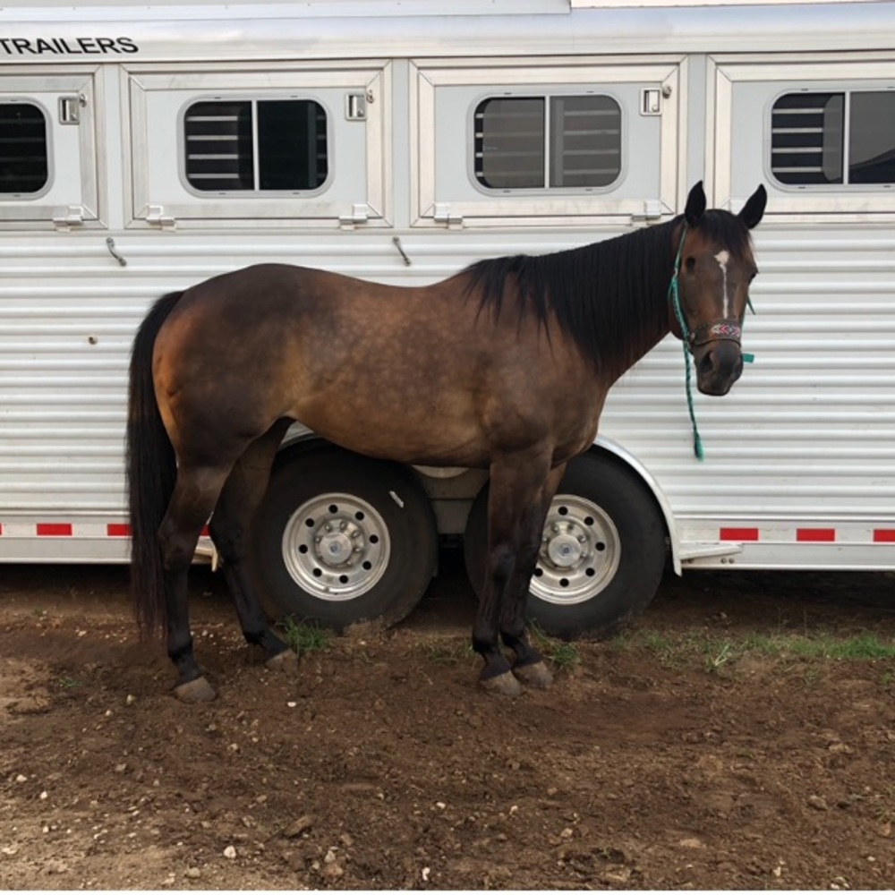 Meet your Posher, Haylie